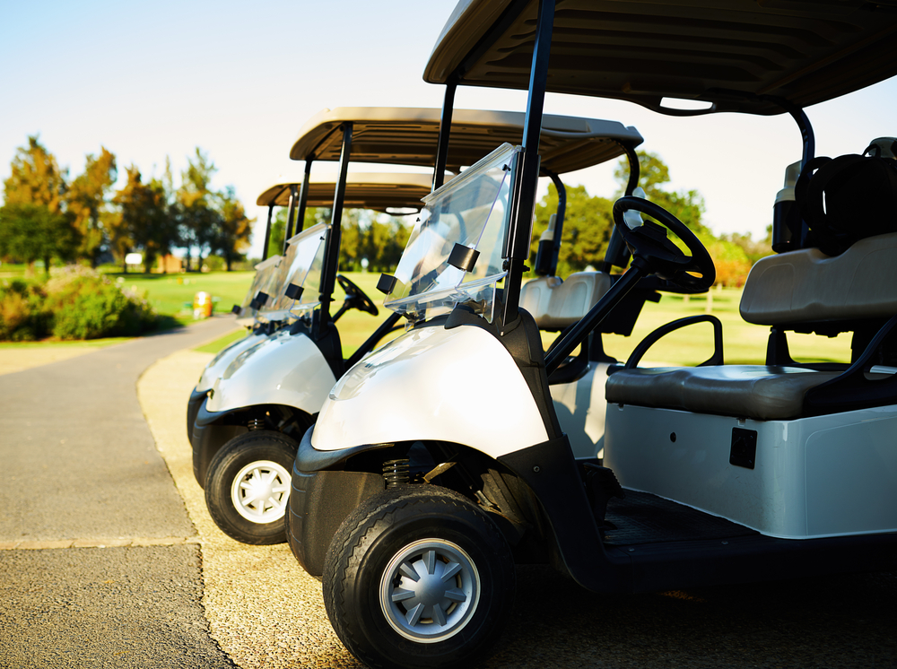 Premier Custom Carts: Pioneering the Future of EV with Unmatched Dealer Support